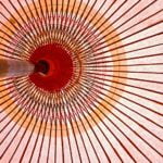 Accelerate Vertical Development